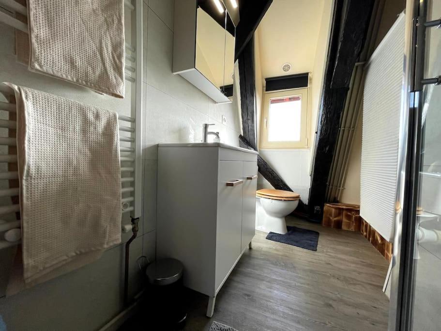 Selestat Centre - L'Unique - 4 Pers - Cosy Daire Dış mekan fotoğraf